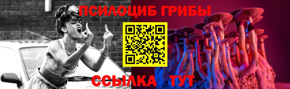 Псилоцибиновые грибы Psilocybine cubensis  Вход с VPN  цена   Псилоцибиновые грибы Psilocybine cubensis  Саров 